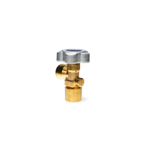 Valve for N2 1" NGT