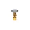 Valve for N2 1" NGT