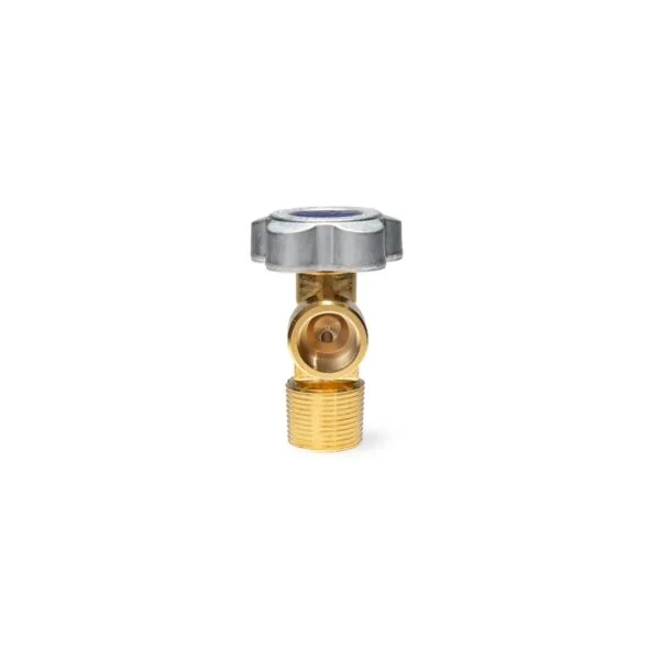 Valve for N2 1" NGT